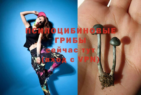 соль курить ск Алексеевка